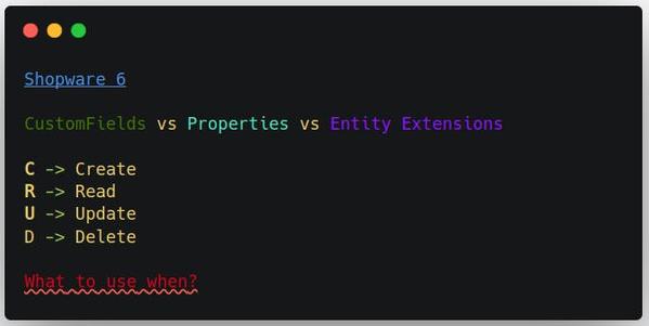 CustomFields, Properties and Entity Extensions for Shopware 6